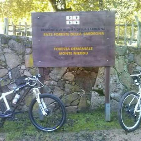 B&B Il Vigneto Capoterra Exterior photo