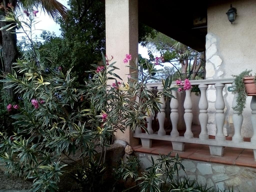 B&B Il Vigneto Capoterra Exterior photo